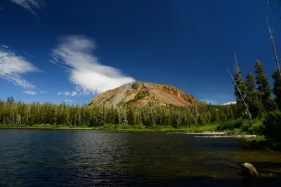 DSC_0042 (Large).JPG